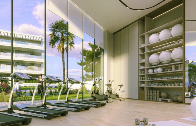 New Build - ground-floor - Torrevieja