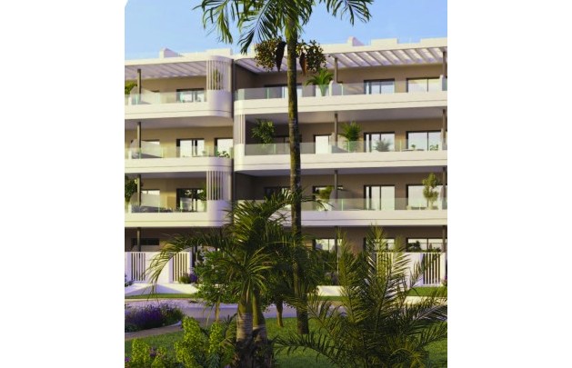 Obra nueva - apartment - Torrevieja