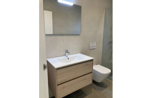 Obra nueva - detached - Pinoso