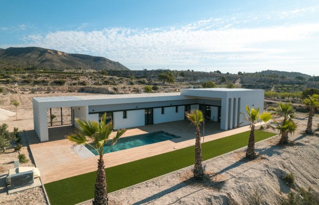 Obra nueva - detached - Pinoso