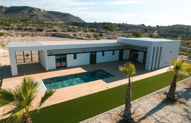 Obra nueva - detached - Pinoso