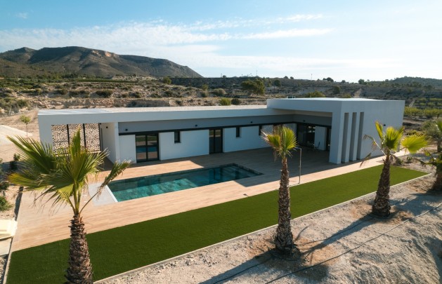 Obra nueva - detached - Pinoso