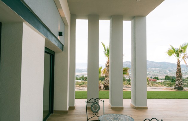 Obra nueva - detached - Pinoso