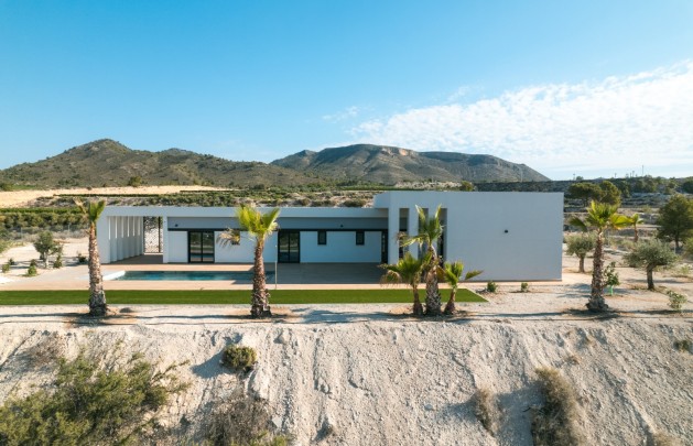 Obra nueva - detached - Pinoso