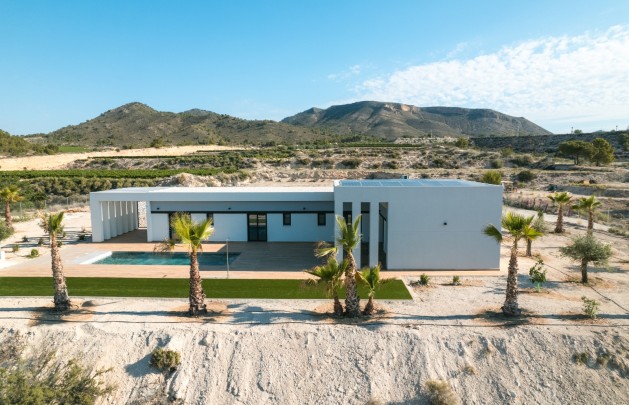 Obra nueva - detached - Pinoso