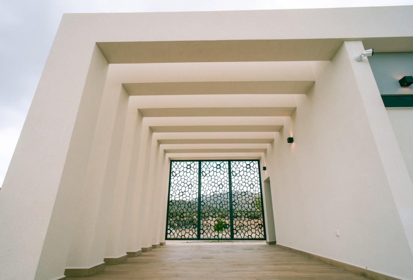 Obra nueva - detached - Pinoso