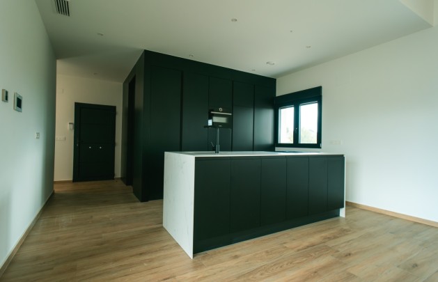 Obra nueva - detached - Pinoso