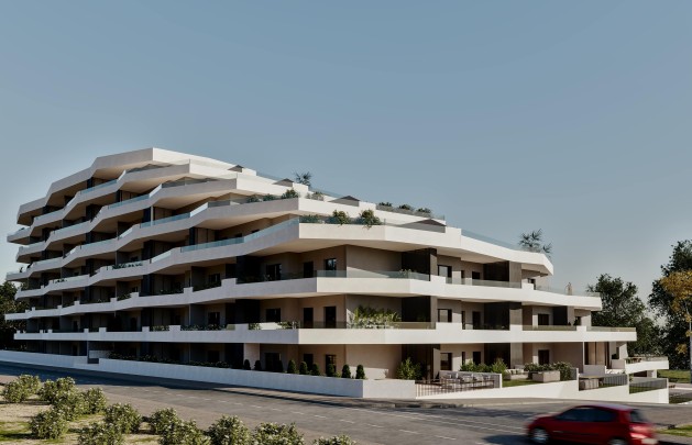Obra nueva - apartment - San Miguel de Salinas