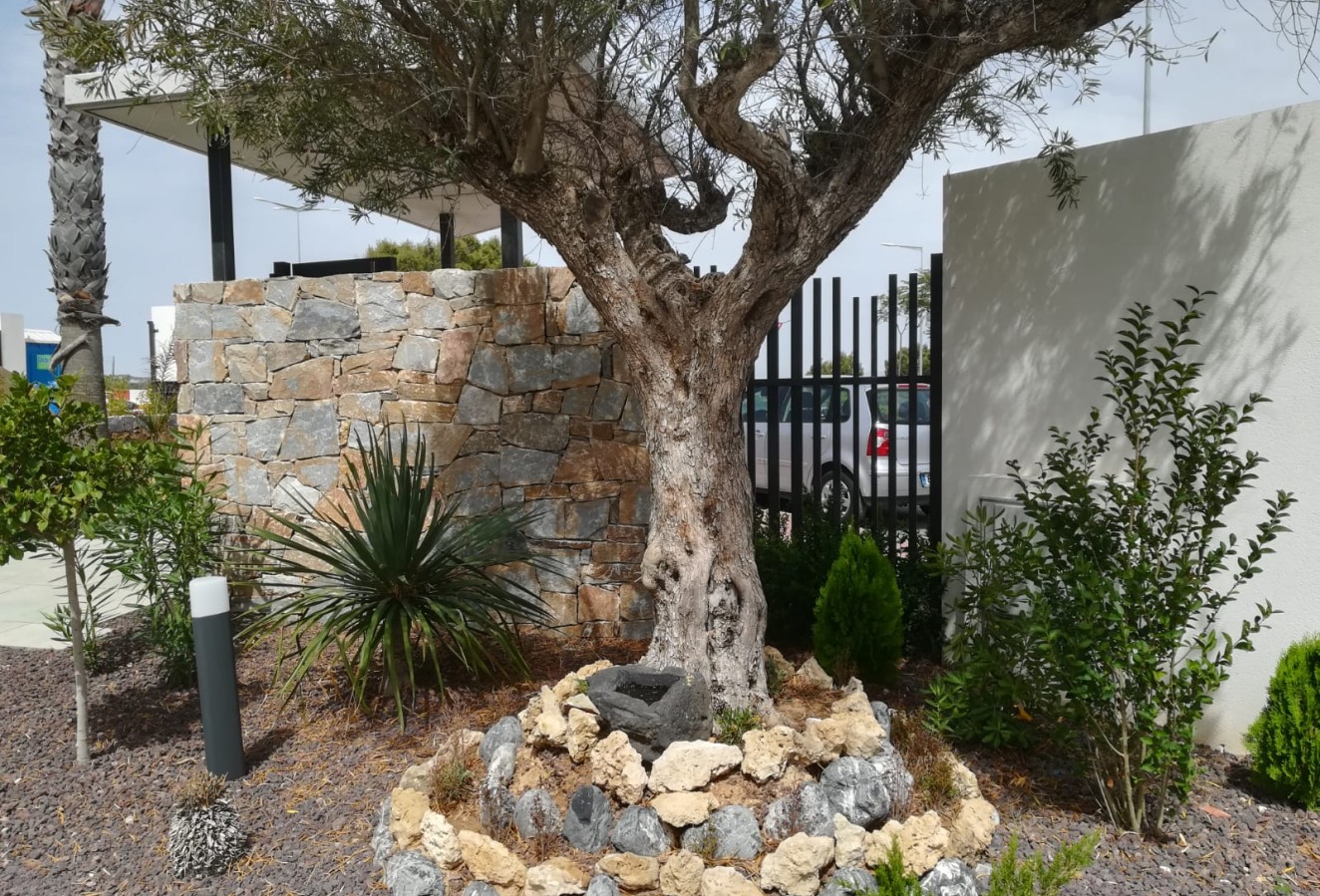 Obra nueva - high-bungalow - Torrevieja