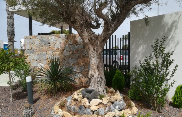 Obra nueva - high-bungalow - Torrevieja