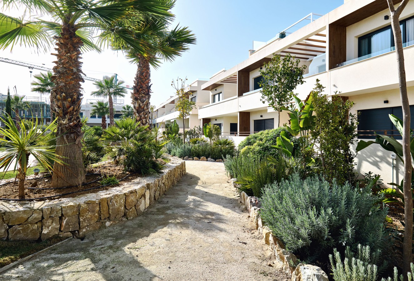Obra nueva - high-bungalow - Torrevieja