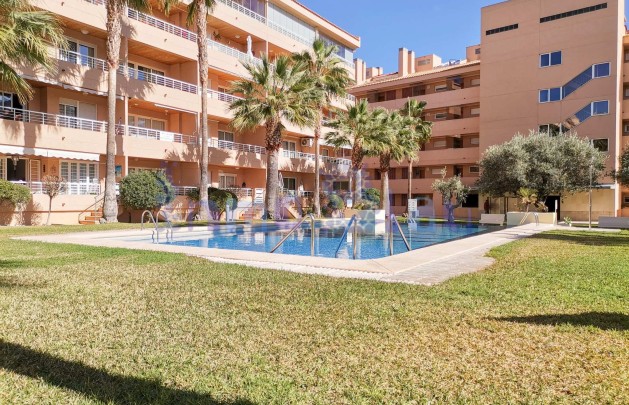 Alquiler a corto plazo - Apartamento / piso - Albir - Centro