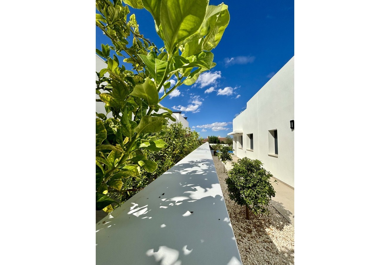 New Build - detached - Benijofar