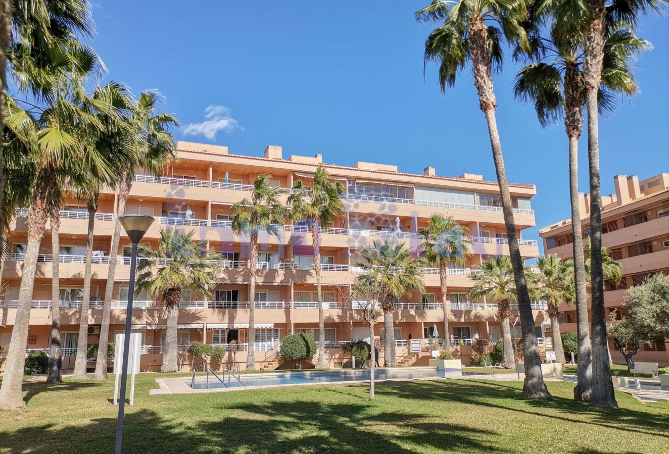 Alquiler a corto plazo - Apartamento / piso - Albir - Centro