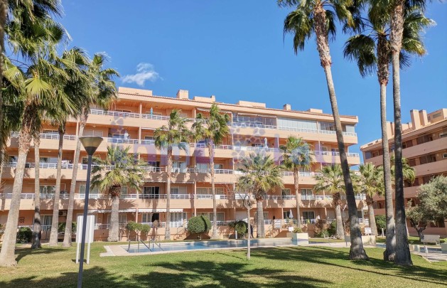 Alquiler a corto plazo - Apartamento / piso - Albir - Centro