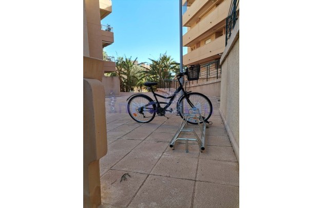 Alquiler a corto plazo - Apartamento / piso - Albir - Centro