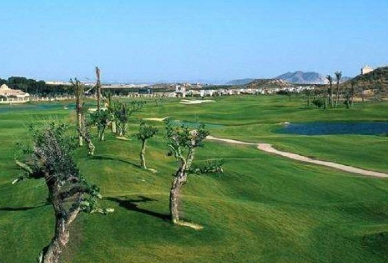 Obra nueva - terraced - Peraleja Golf