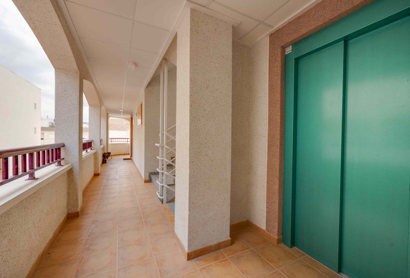 New Build - ground-floor - San Fulgencio