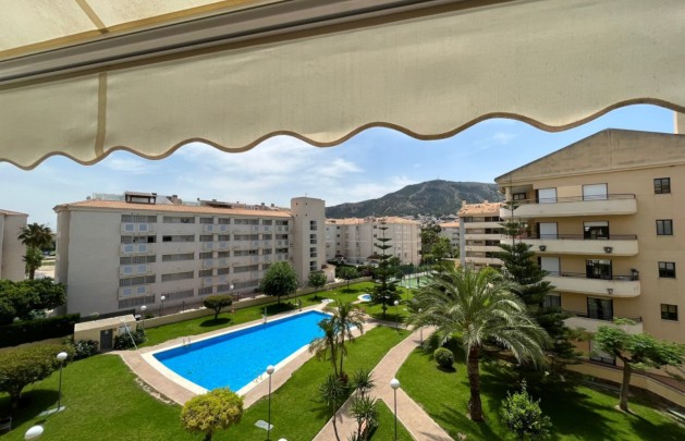 Alquiler a corto plazo - Apartamento / piso - Albir - Centro
