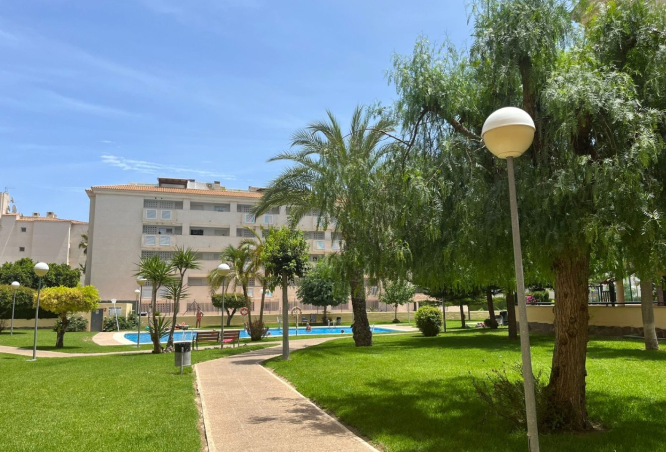 Alquiler a corto plazo - Apartamento / piso - Albir - Centro