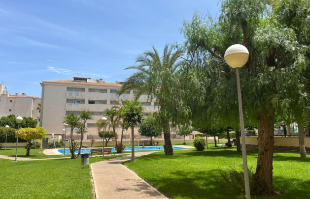 Alquiler a corto plazo - Apartamento / piso - Albir - Centro