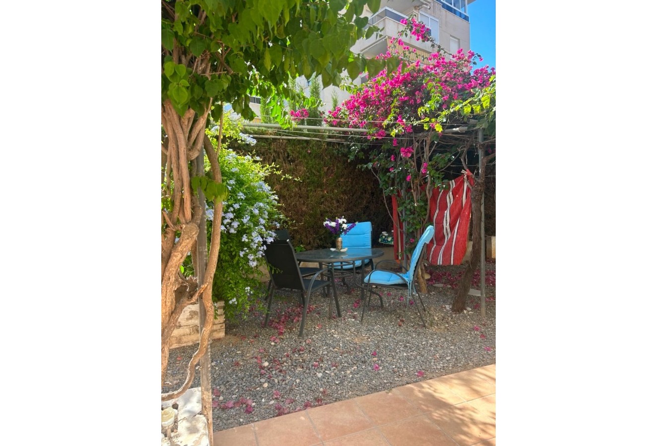 Short Term Rental - Apartment / flat - Albir