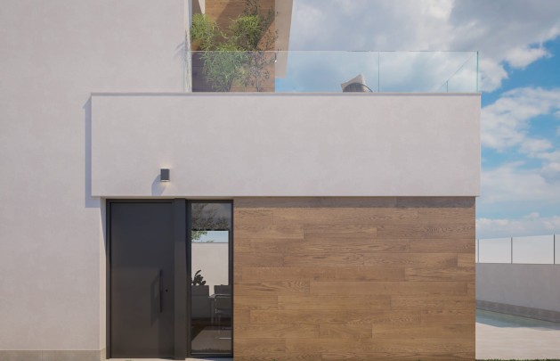 Obra nueva - detached - Pilar de la Horadada