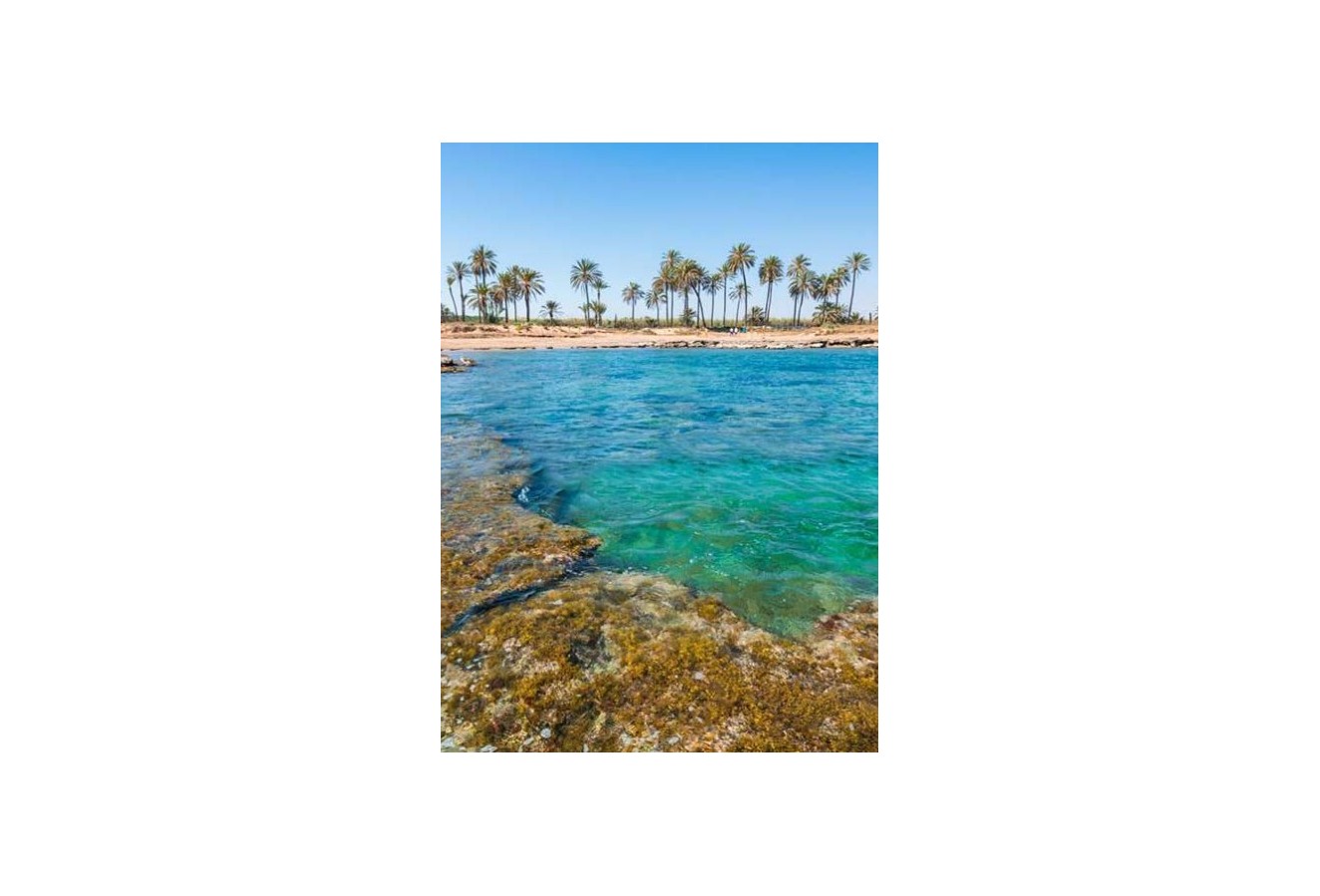 Nieuwbouw Woningen - apartment - Torrevieja