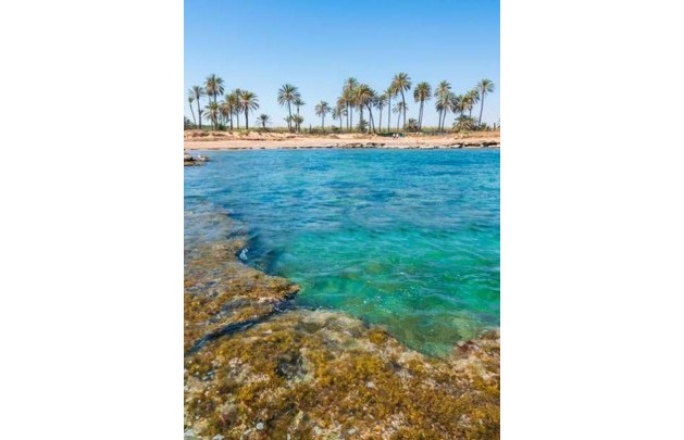 Nieuwbouw Woningen - apartment - Torrevieja
